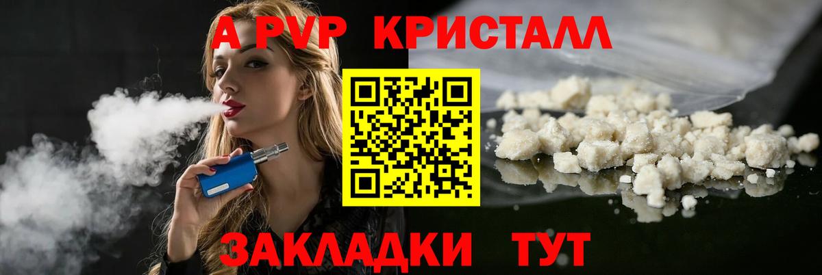 A PVP СК КРИС Славгород