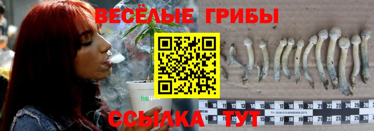 Галлюциногенные грибы MAGIC MUSHROOMS  Галлюциногенные грибы Psilocybe  Славгород  Вход с VPN 